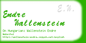 endre wallenstein business card